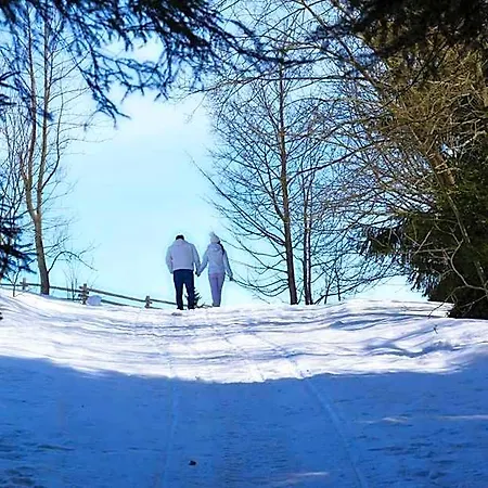 Obzor 3*